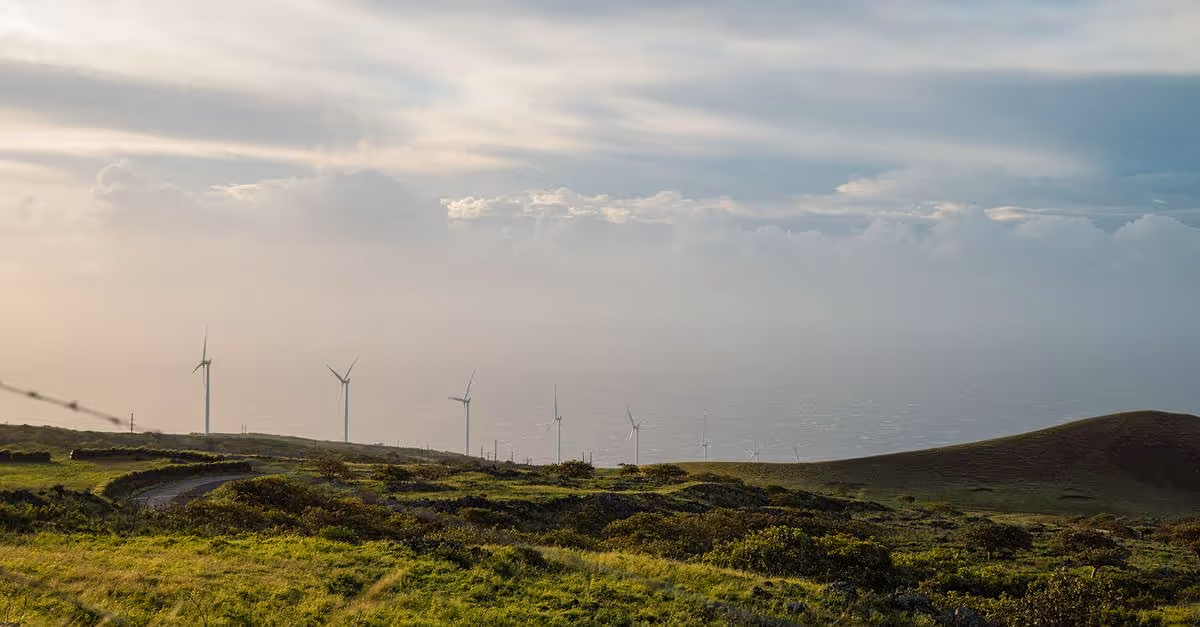 Aerogeneradores en Países Bajos: nueva norma de distancia mínima