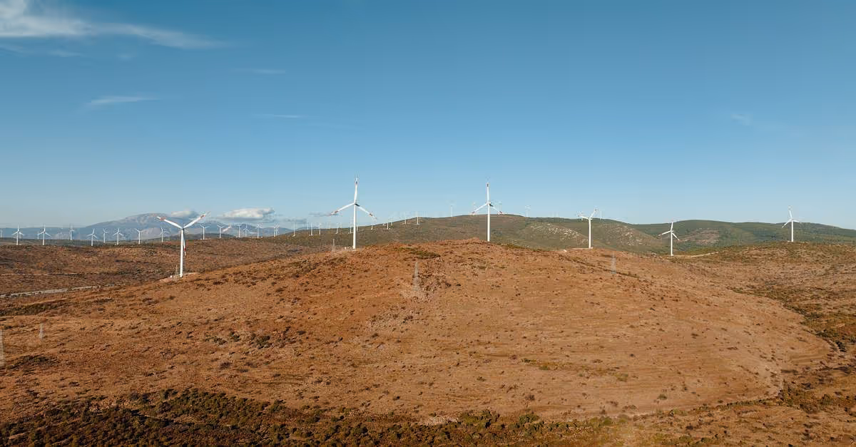 ScotWind: Audit Scotland exige transparencia en fondos eólicos