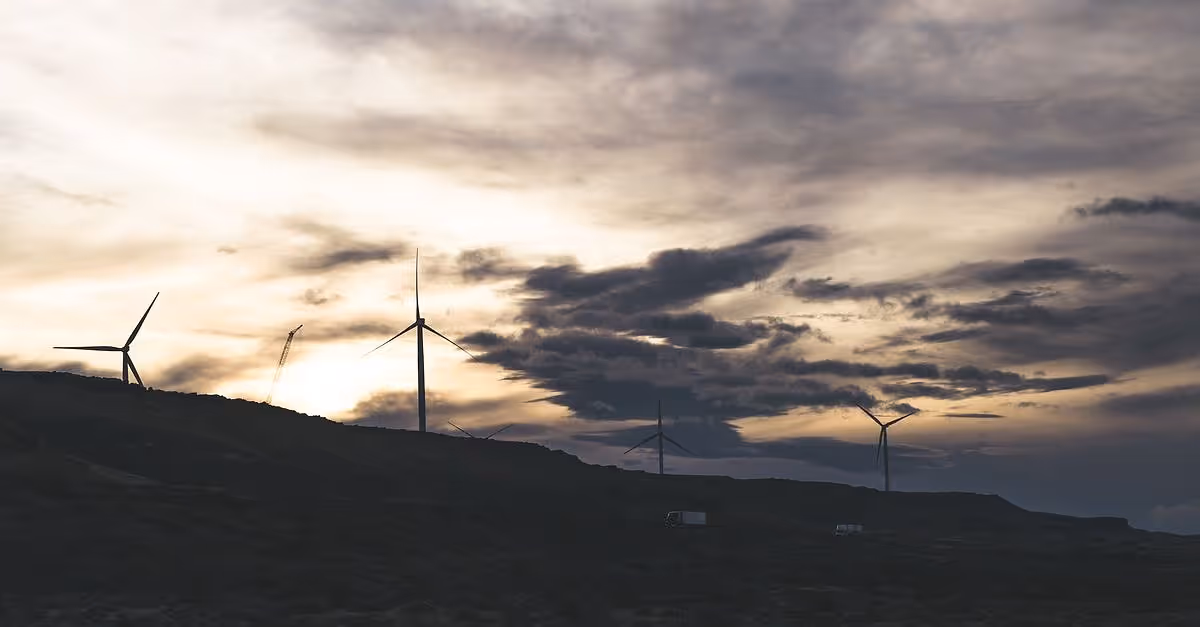 Puerto de Tyne: investigan choque entre Wind Orca y BG Orange