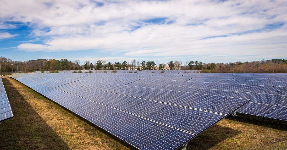 COP28: El reto de triplicar las energías renovables para 2030
