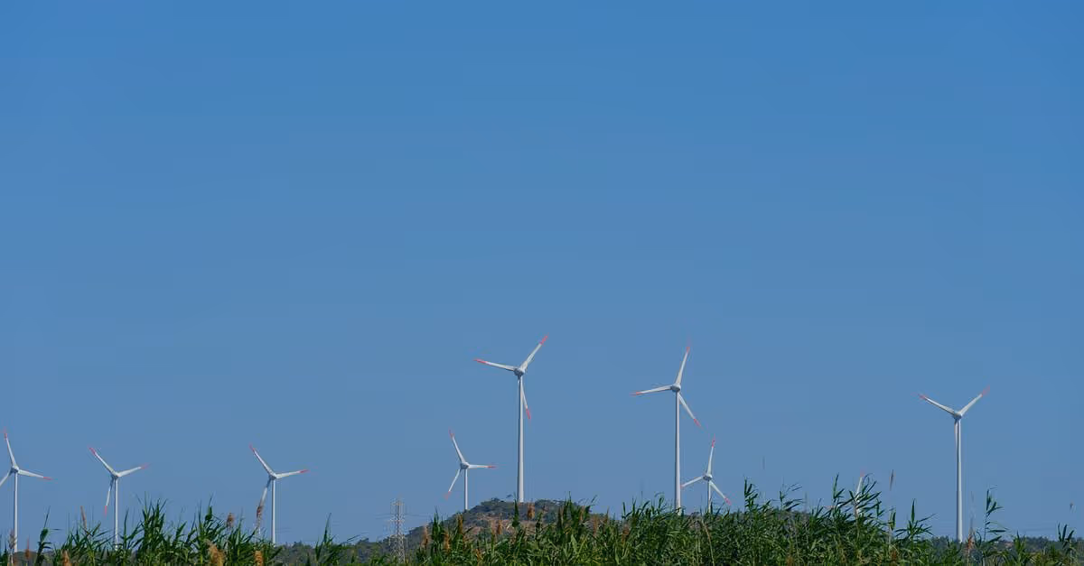 Hungría: Licitación para expandir capacidad eólica terrestre