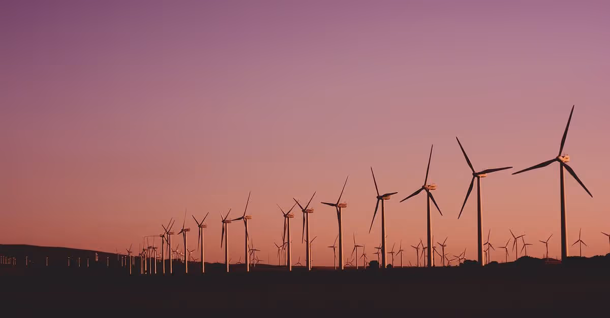 Green Breeze: el nuevo parque eólico de OX2 ya opera en Rumanía
