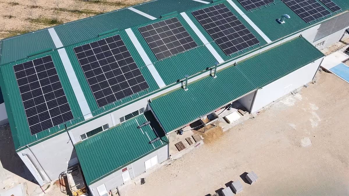 Energía solar: planta de pistachos opera sin red eléctrica