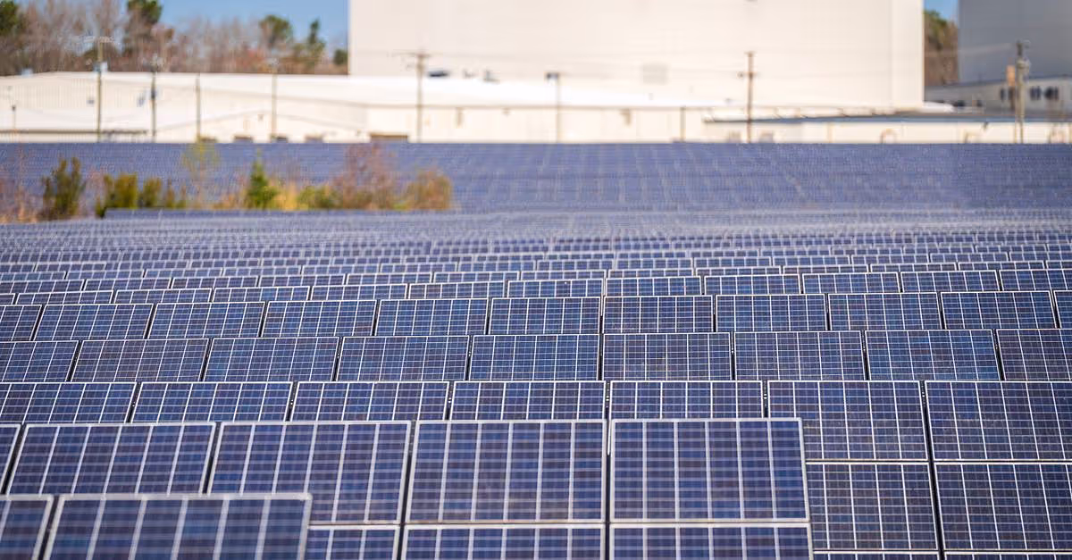 Maspalomas I: así funcionará su nueva planta de autoconsumo solar
