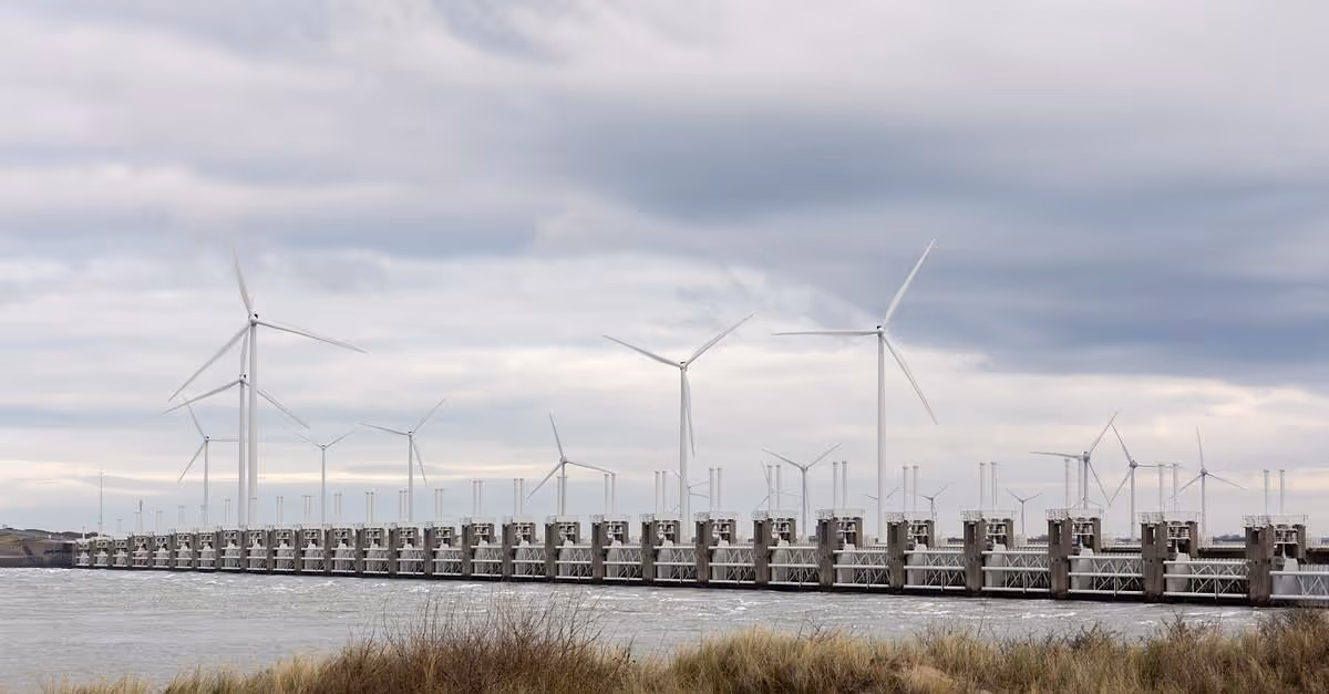 Navaris: Qualitas Energy lanza nueva marca de energía renovable