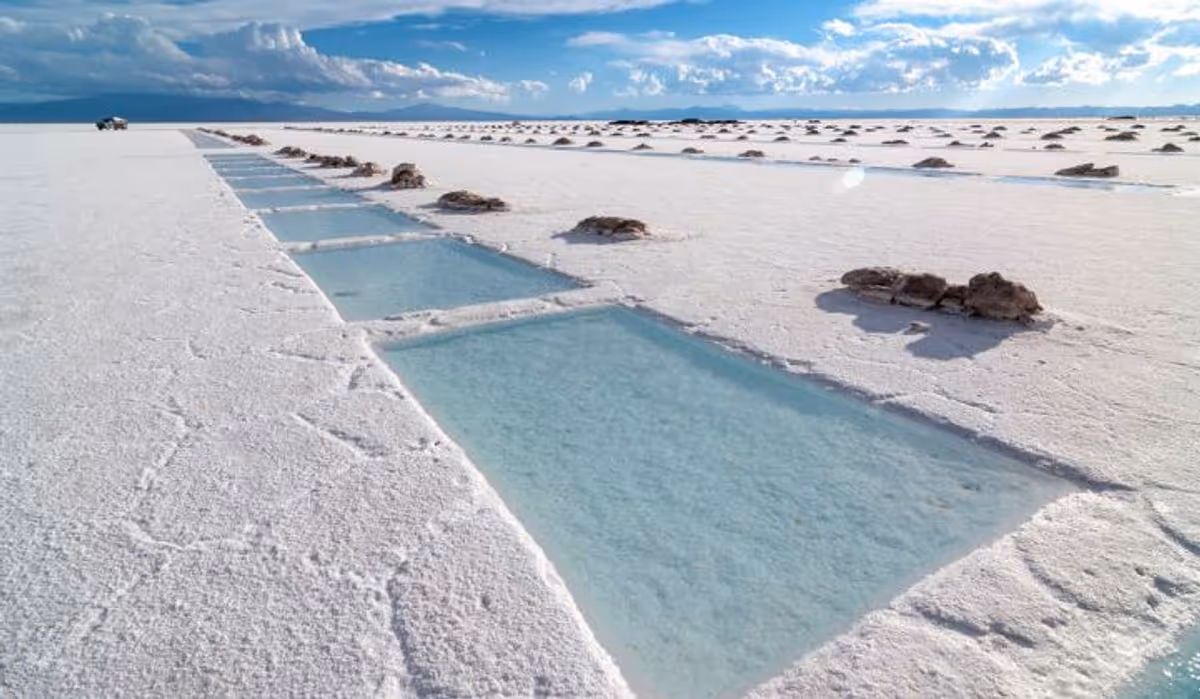 Science Tokyo: Nuevo método para extraer agua dulce y magnesio