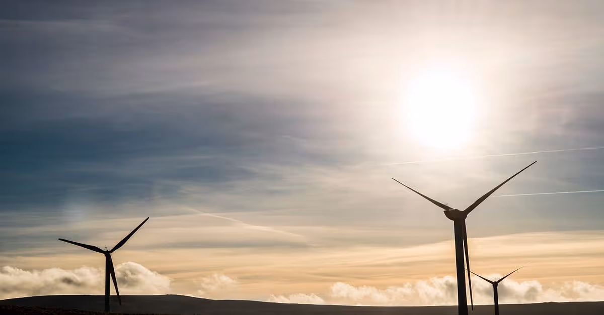 Google: firma acuerdo de energía eólica en Finlandia